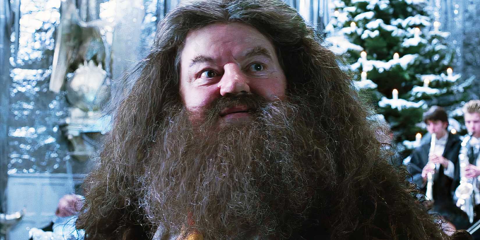 Robbie Coltrane sorrindo como Hagrid em Harry Potter e o Cálice de Fogo