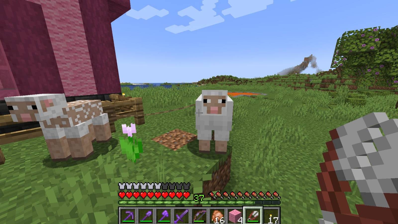 Spring In Minecraft After Minecraft’s Spring To Life Update, This Neglected Mob Desperately ...