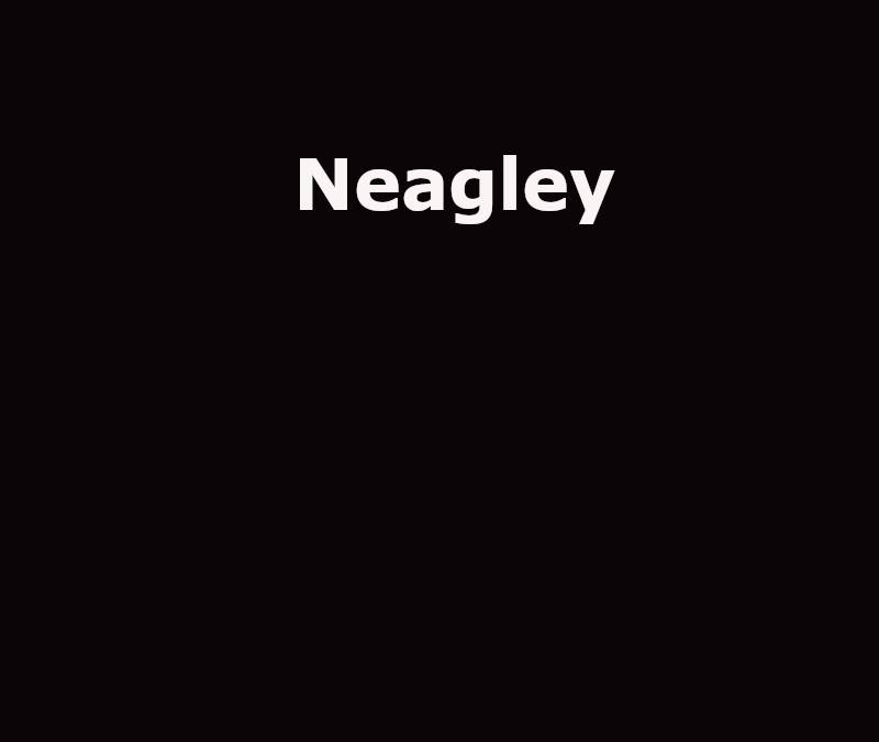 Nealey Show Neagley Summary, Trailer, Season List, Cast, Where to Watch and More