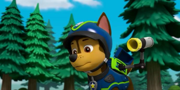 What Breeds are the Dogs in Paw Patrol: Ultimate Guide Revealed