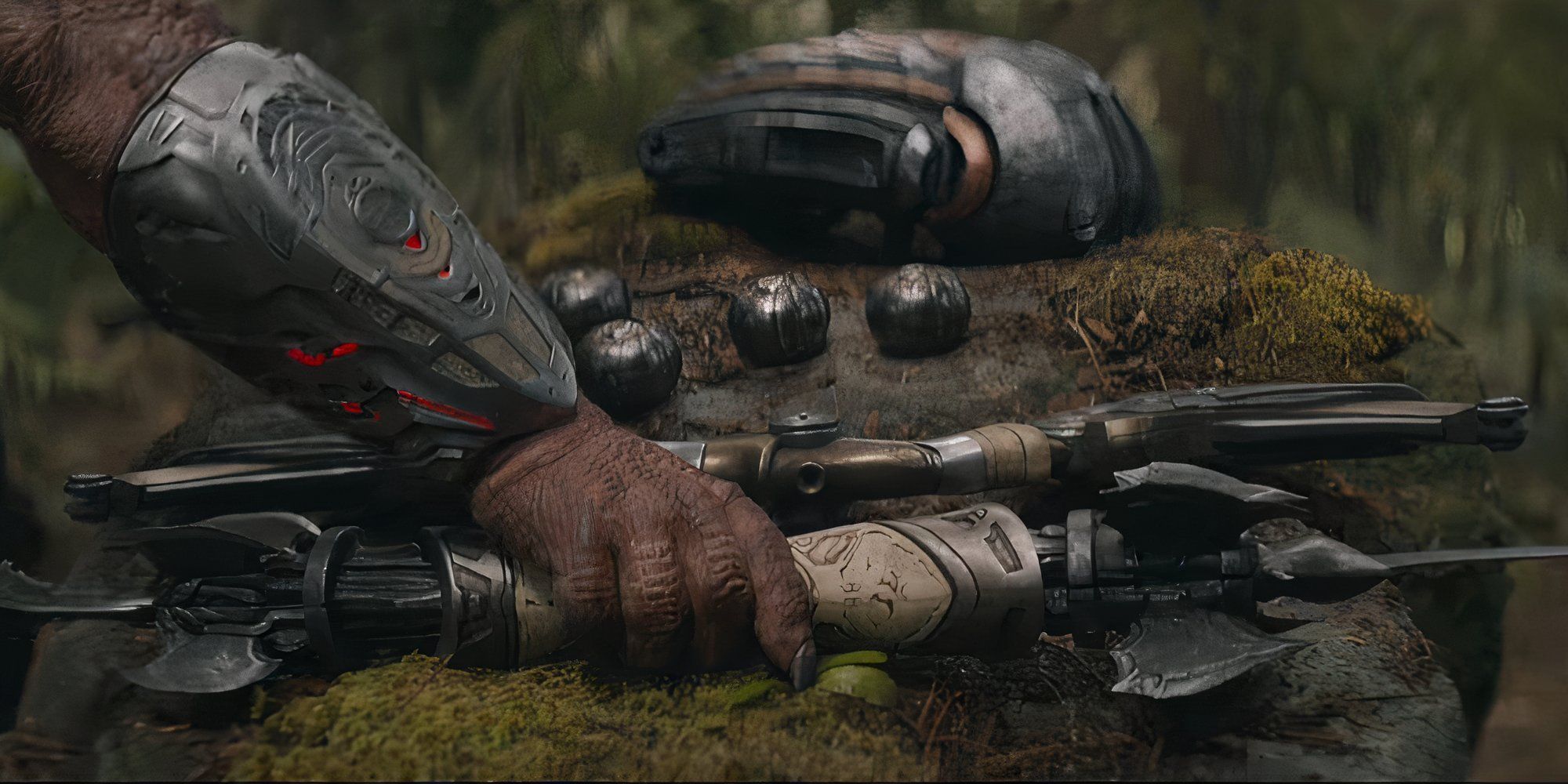 Predator Complete Movie Timeline Explained