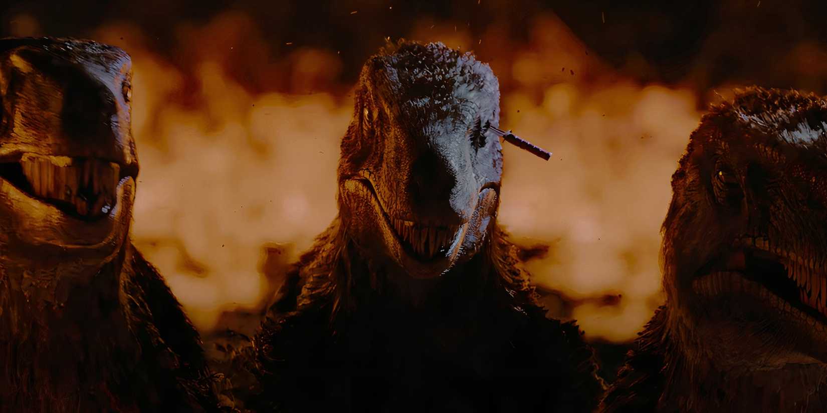 Три велоцираптора перед огнем в Primitive War