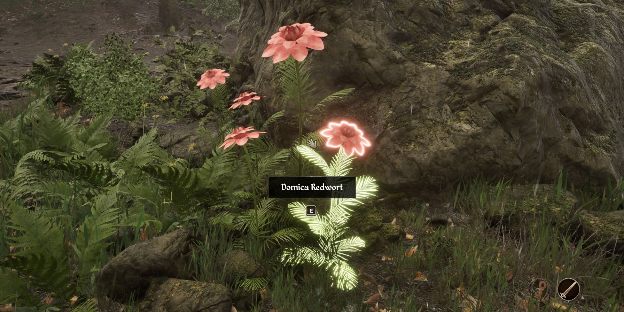 Redwort Flowers in Oblivion Remastered