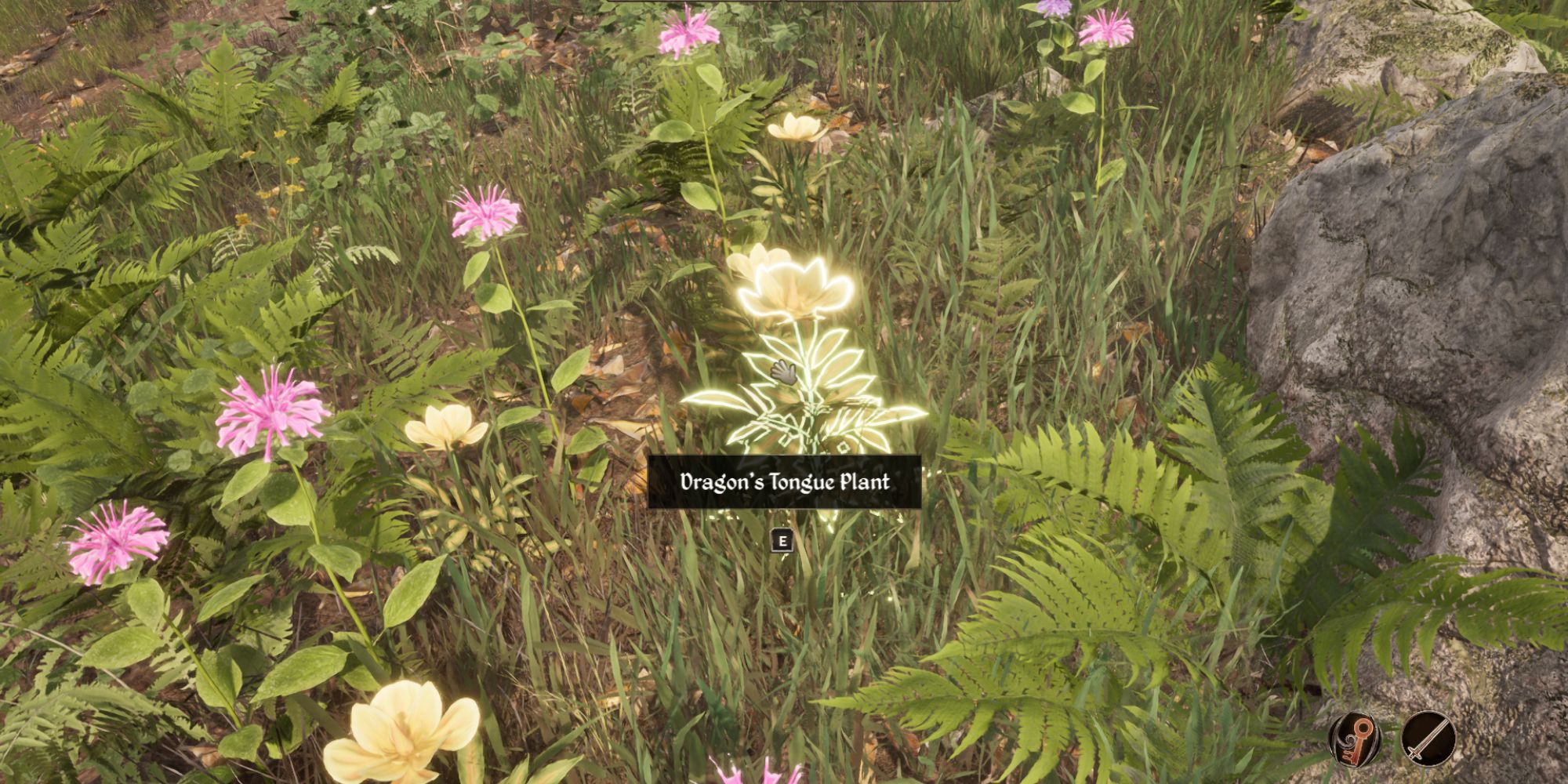 Dragon's Tongue Flowers in Oblivion Remasatered