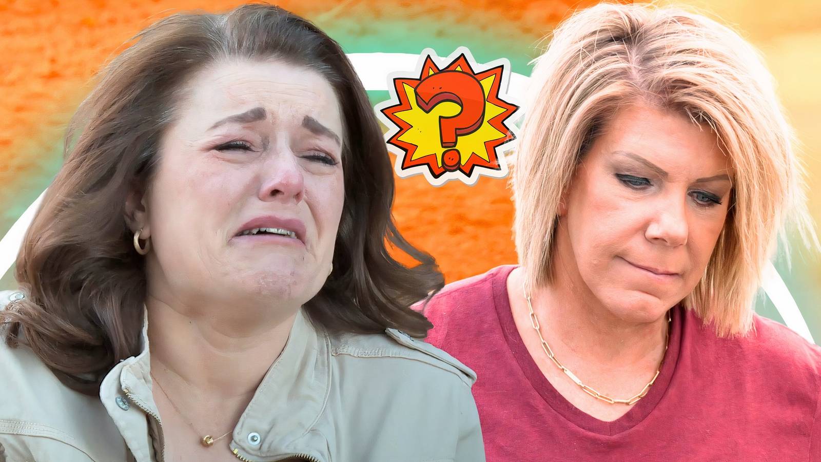 Sister Wives Star Robyn Brown's Estranged From Meri (Does Robyn Have Trouble Getting Along With Meri, Paedon & Other People?)