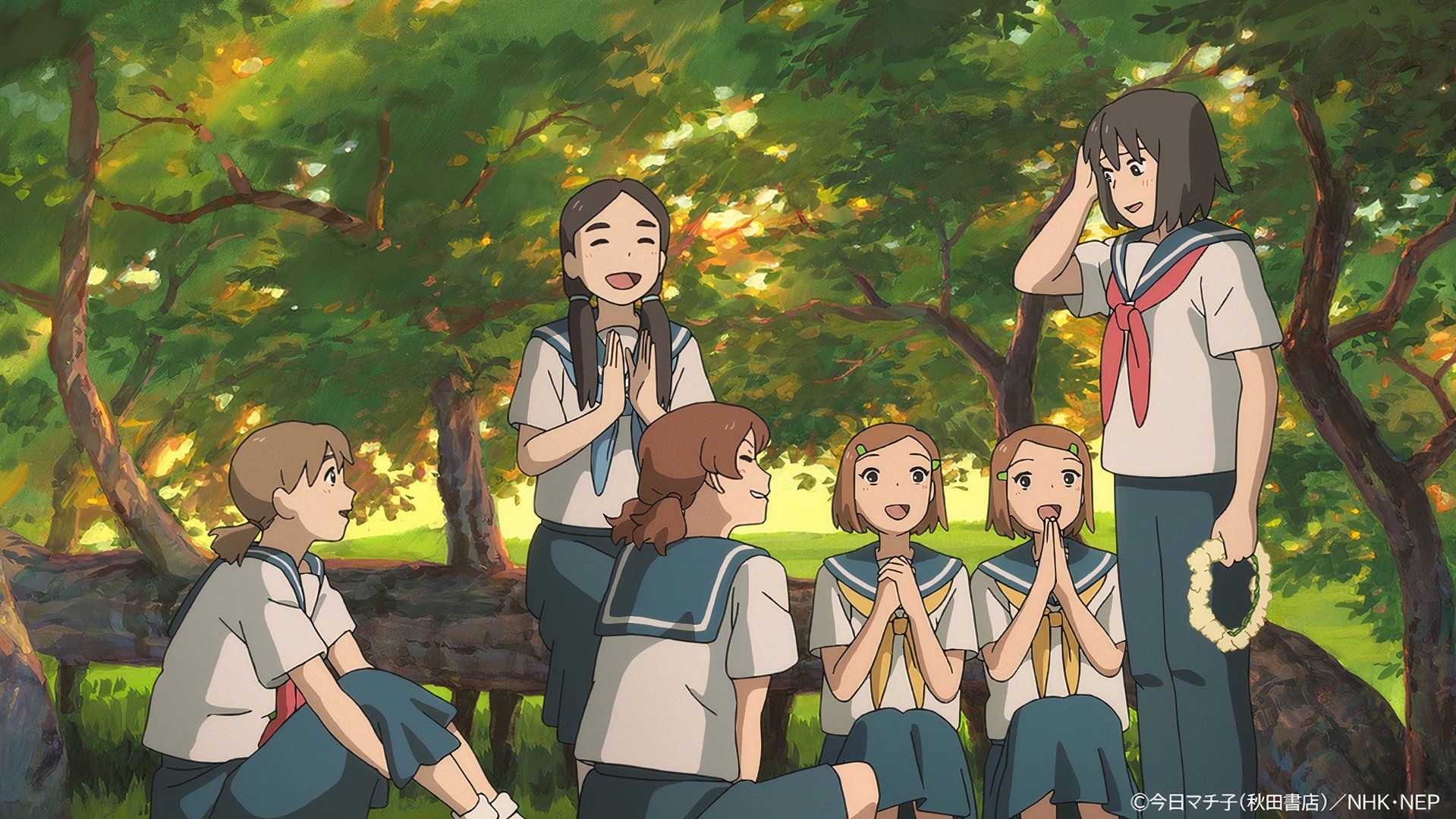 Cocoon: From Girls in Summer