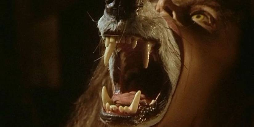 A Companhia dos Lobos