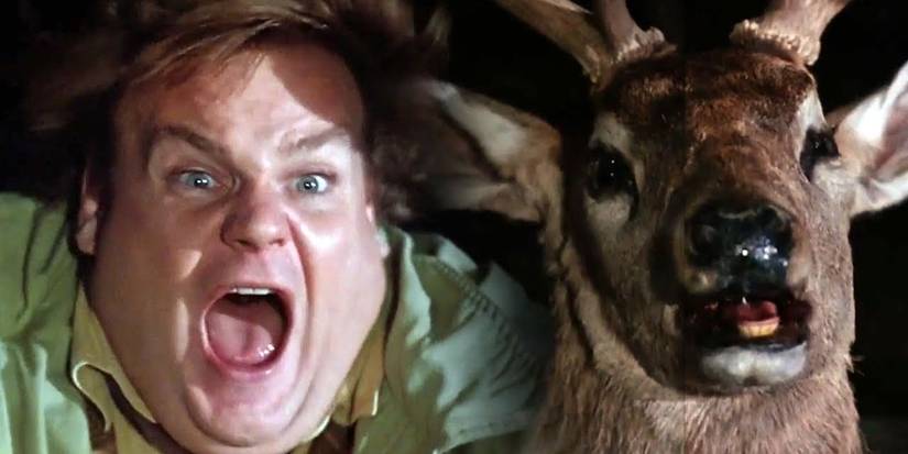 The 10 Best & Funniest Tommy Boy Quotes I Still Use Today