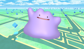 Ditto Pokemon GO