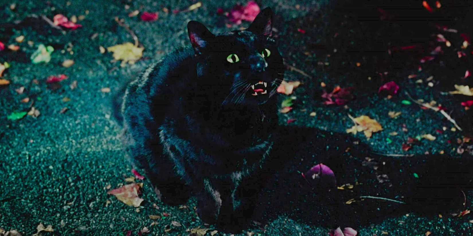 Hocus Pocus 3 Is Confirmed & I NEED These 6 Things To Happen In The ...