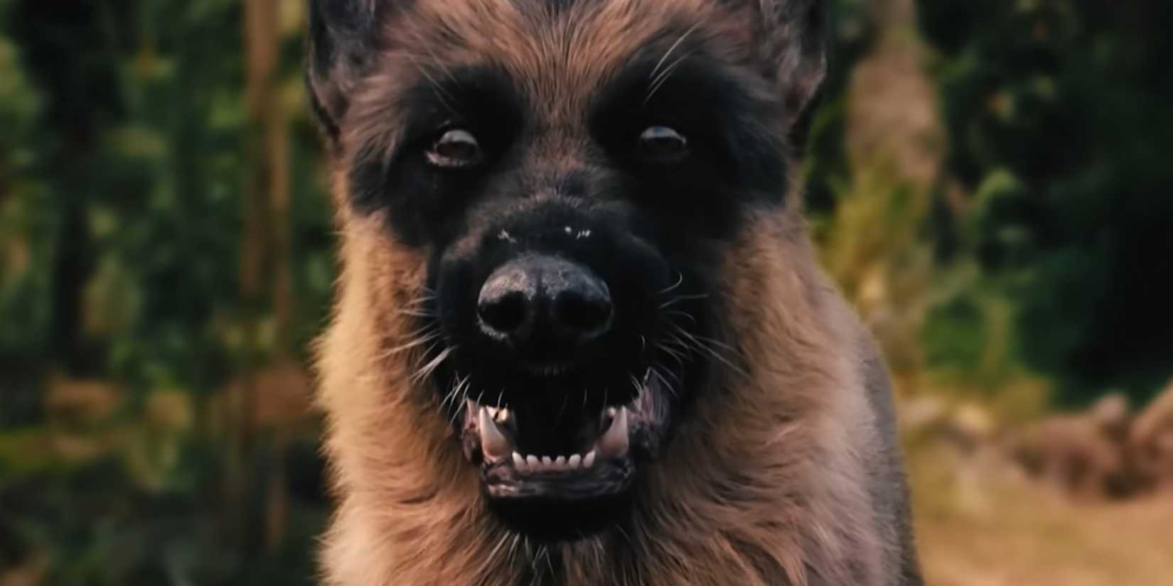 A Breed Apart Review: This Wes Craven-Inspired Horror Remake Is One Of ...