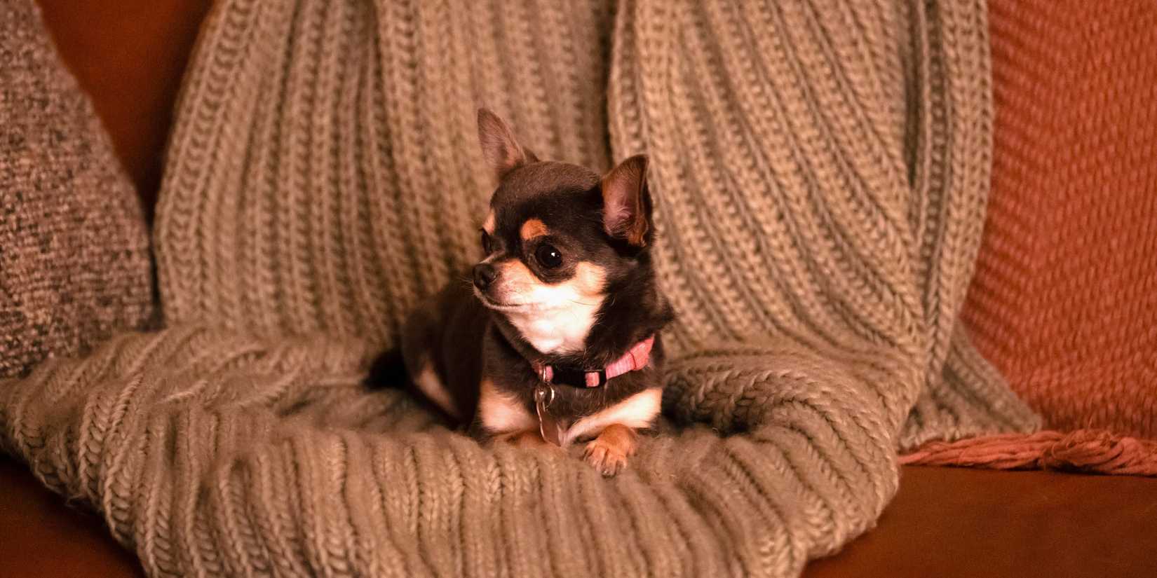 Бетти в Will Trent сезон 3