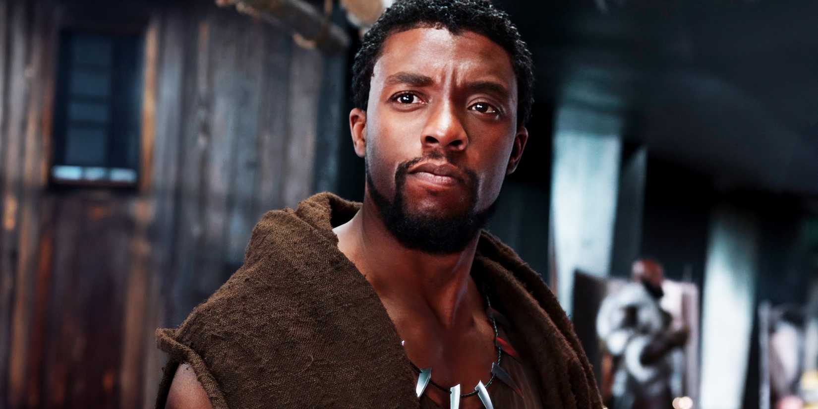 Chadwick-Boseman-As-T'Challa-In-Black-Panther