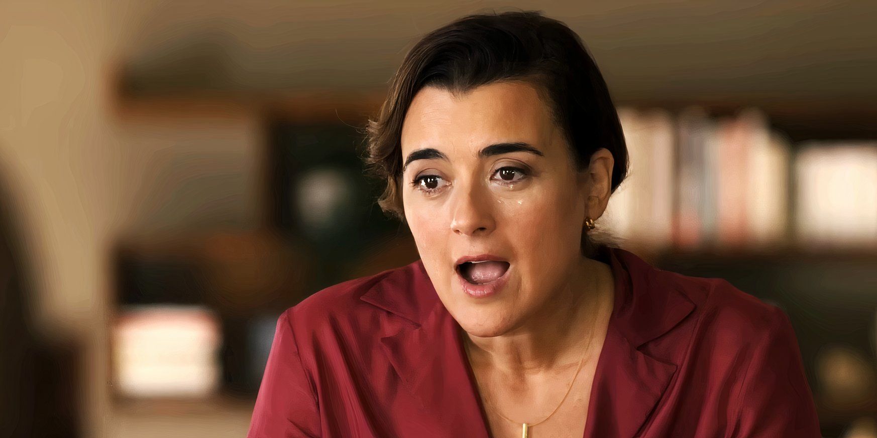 Cote de Pablo as Ziva in NCIS Tony & Ziva trailer