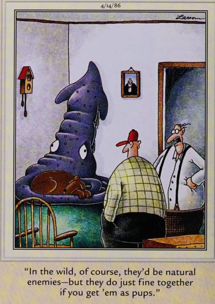 Far Side, April 14, 1986, a squid and a puppy cuddling together