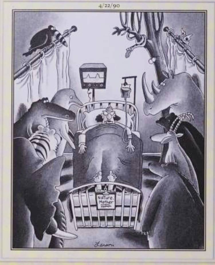10 Deepest The Far Side Comics That Fans Are Still Thinking About Decades Later 4 Far Side, April 22, 1990, animals gather around Mother Nature's bedside in the hospital