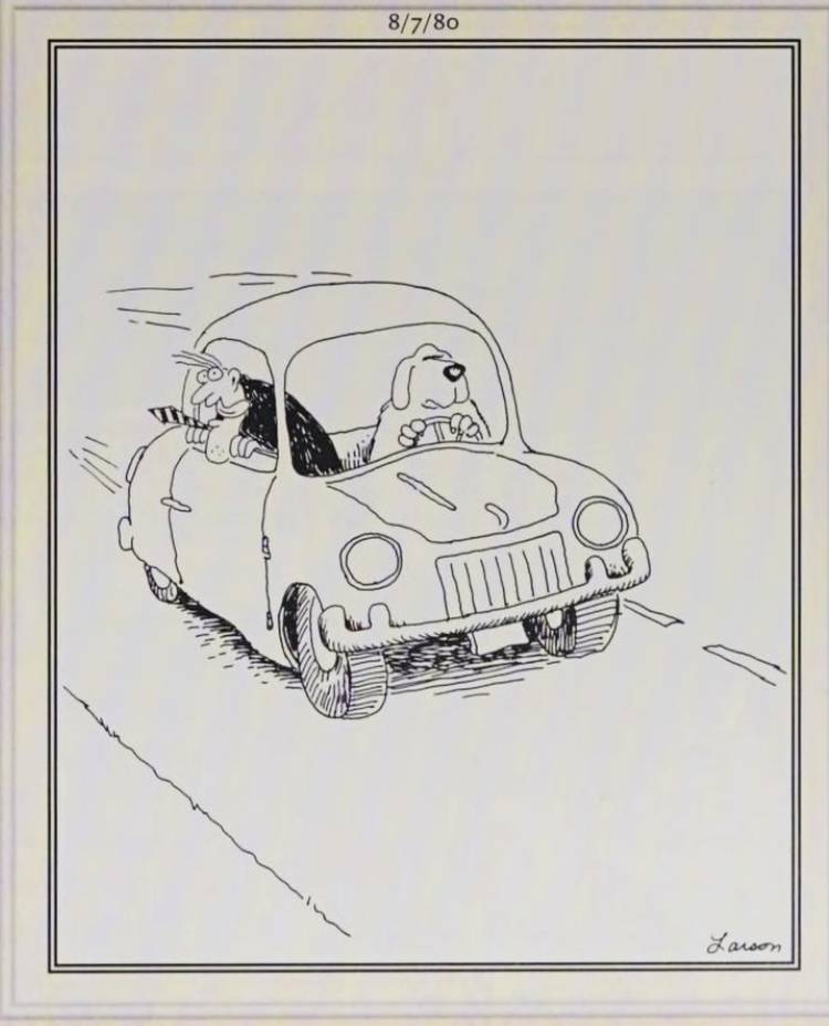 Far Side, August 7, 1980, a dog drives while a man sticks his head out the window