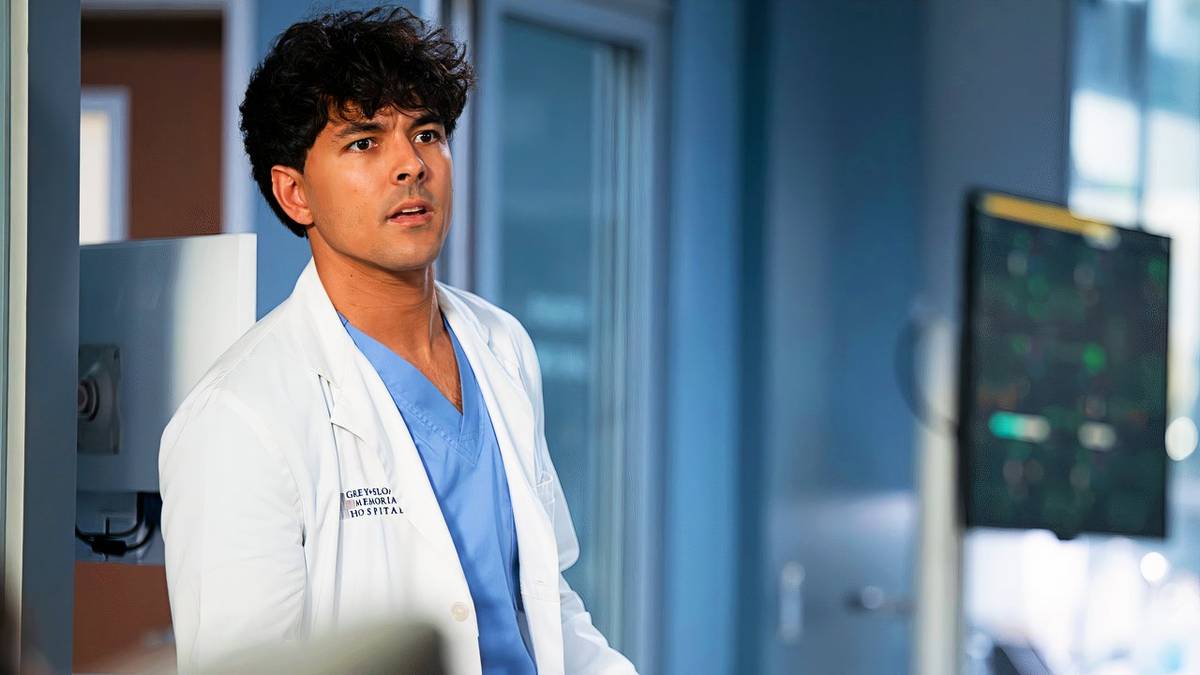 Grey's Anatomy Season 22's Heartbreaking Love Story Explained By Star