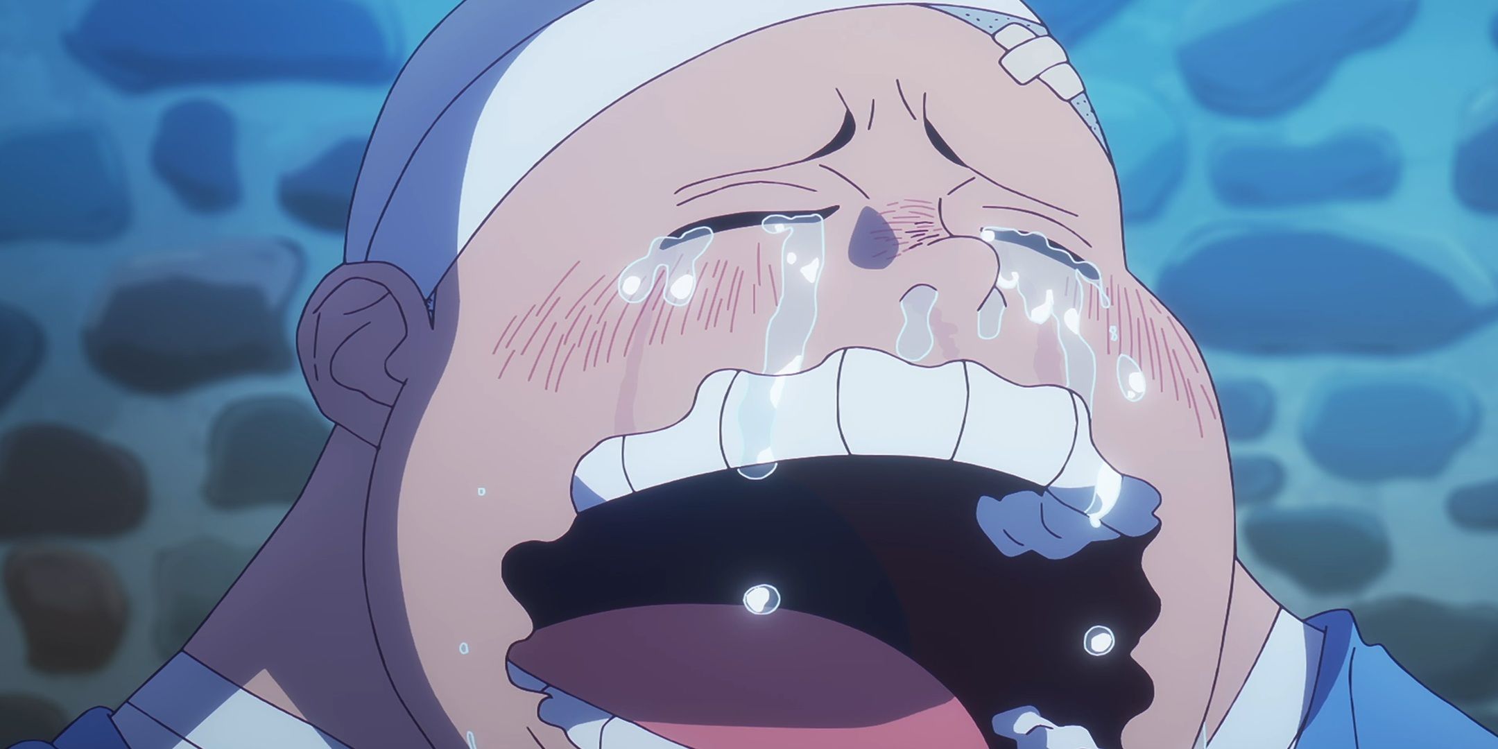 One Piece Just Delivered Its First True 10/10 Arc in Well Over a Decade