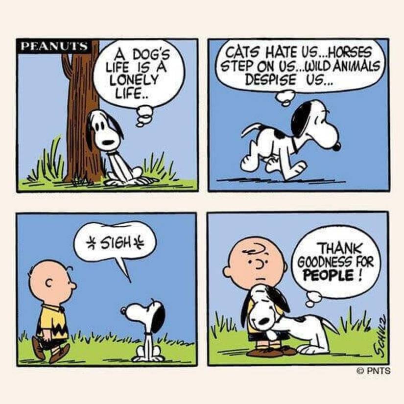 Noopy Dog 10 Heartbreaking Snoopy Comics That Prove Peanuts Was Always More Than ...