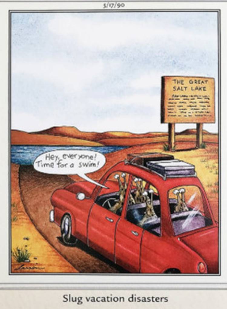 Far Side, מכונית מלאה בשבלולים שמתקרבת לאגם מלח.