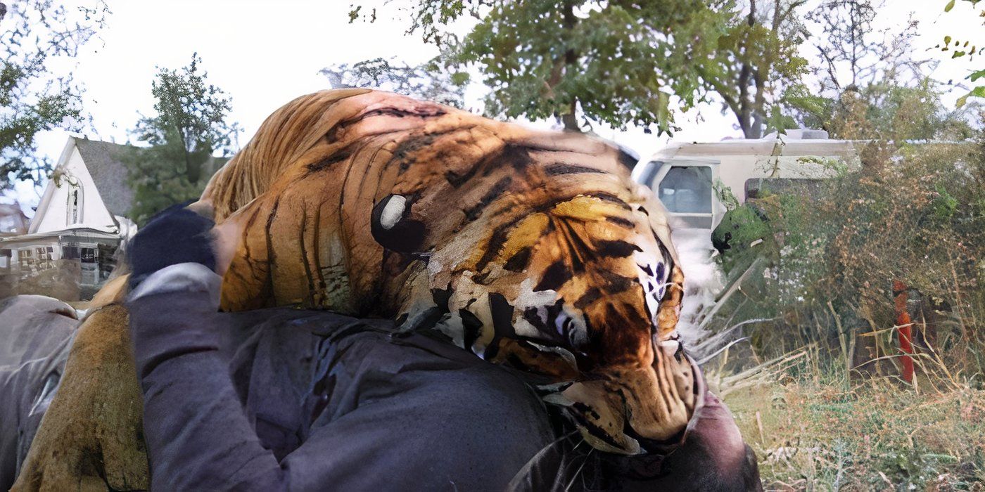 Shiva eating someone in The Walking Dead.