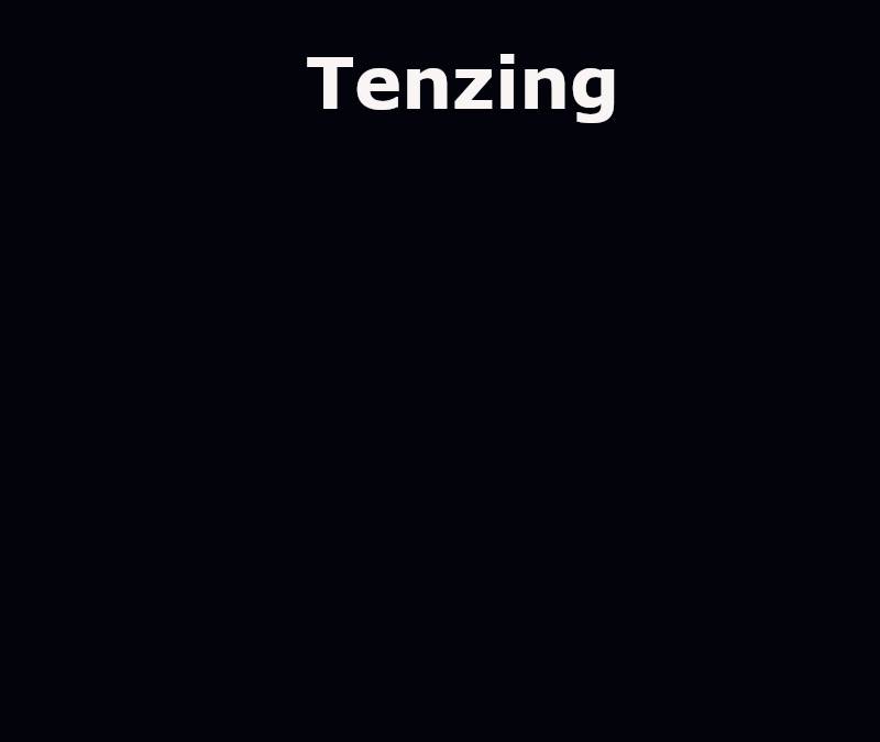 Tenzing Summary, Trailer, Cast, Where to Watch and More
