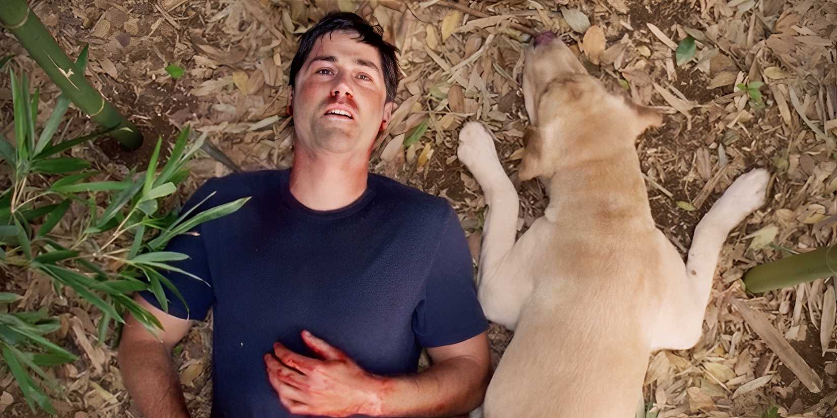 Jack deitado no chão ao lado de Vincent e olhando para o céu no final de Lost