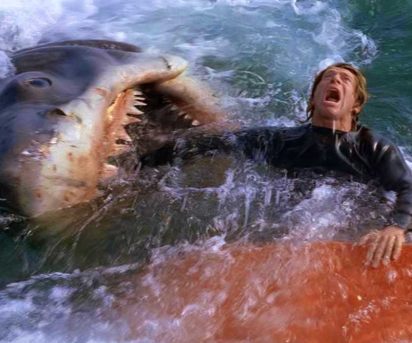 The shark attacking the estuary victim in Jaws