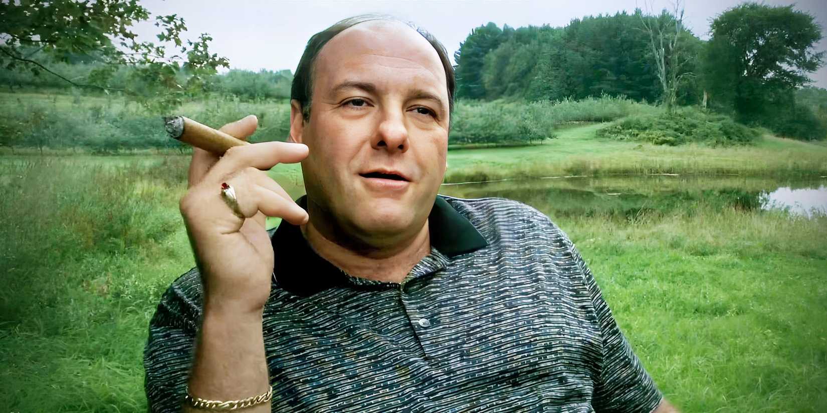 Tony Soprano smoking a cigar