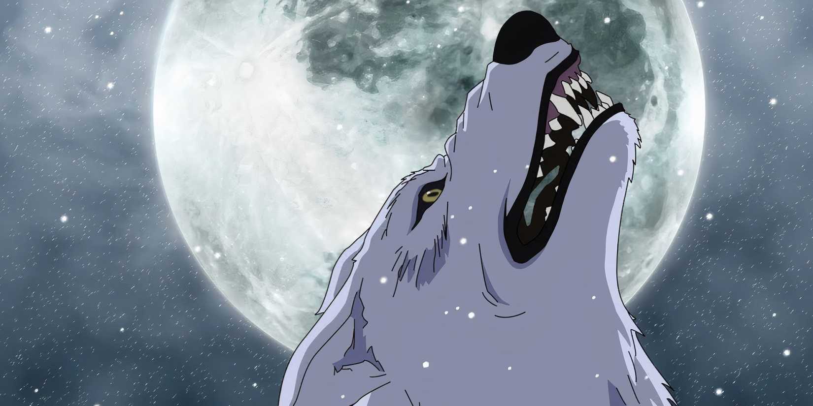 20 Most Underrated Anime Series 1 Wolf's Rain
