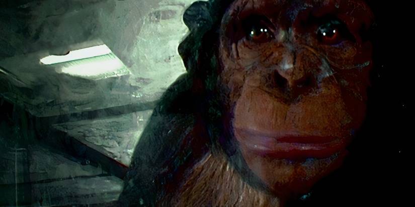 28 Days Later Rage The Real Meaning Of 28 Days Later's Opening Scene Explained