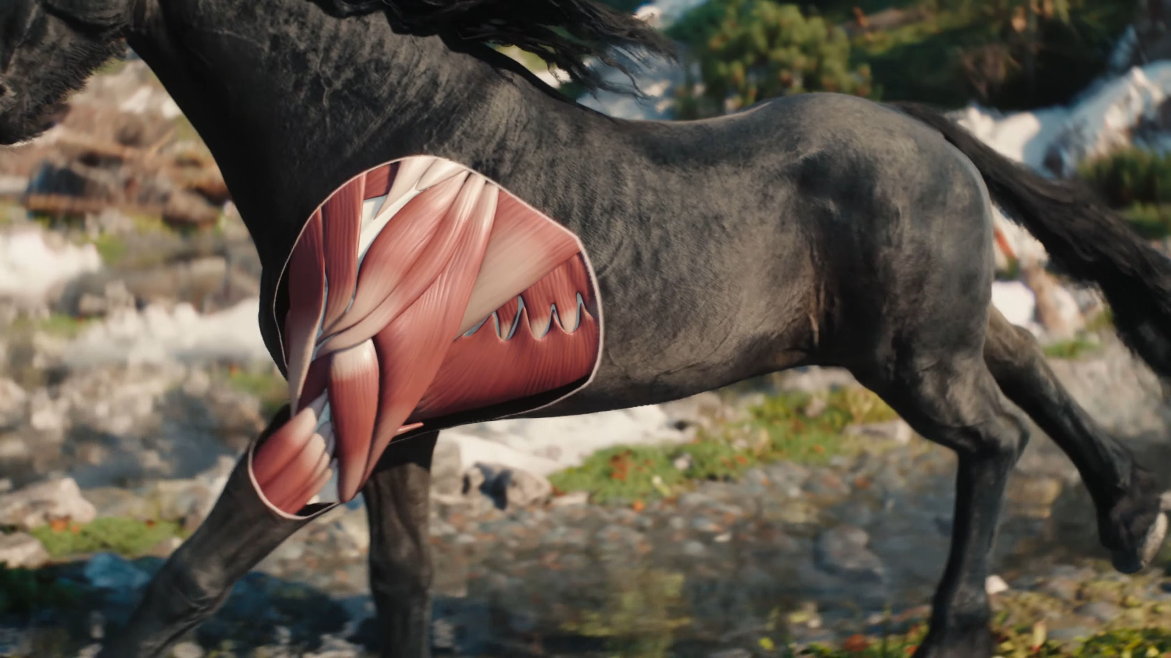 A closeup of the muscles inside Kelpie's leg in a screenshot from The Witcher 4.