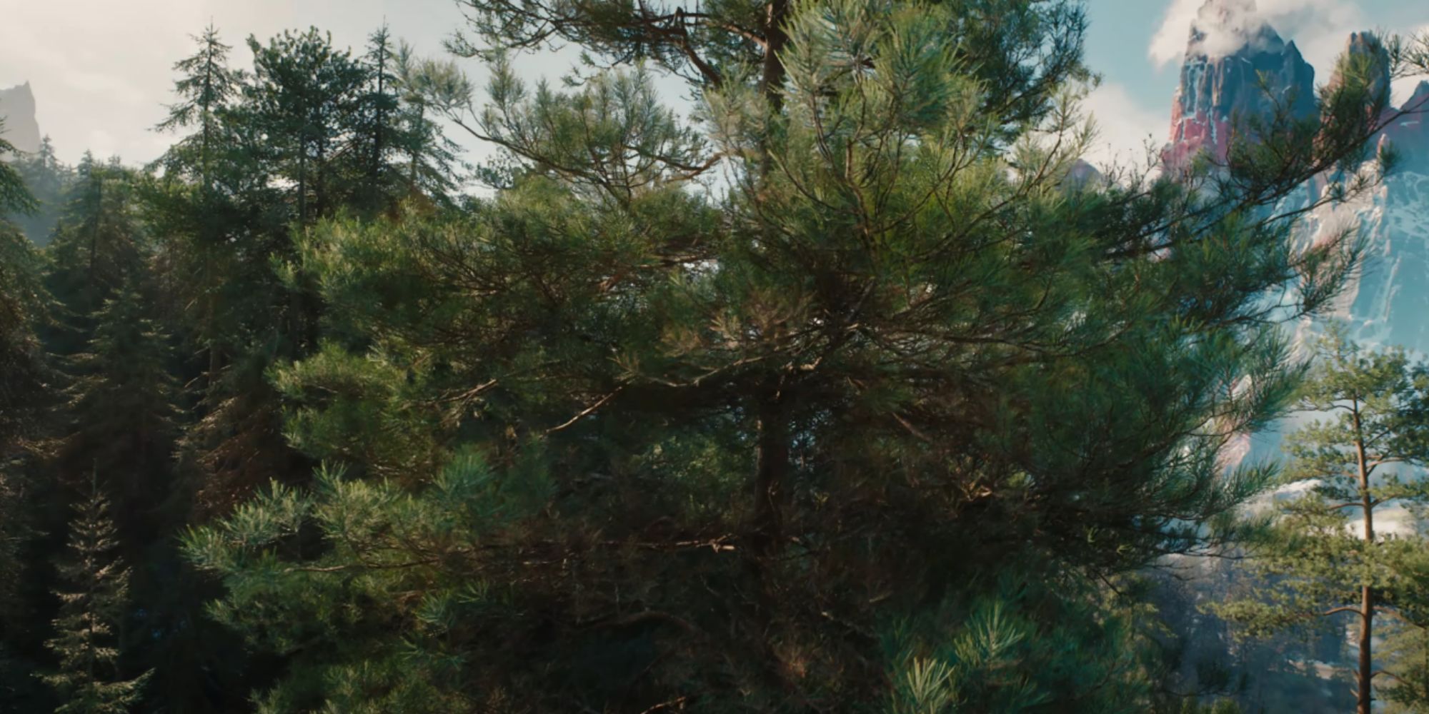 Detailed foliage on trees in The Witcher 4