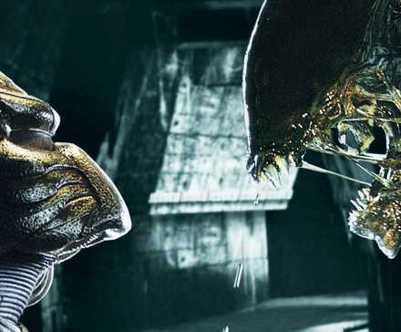 Why Predators Hunt People: The Yautja Code Explained