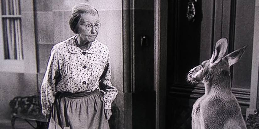 Granny (Irene Ryan) staring at a kangaroo in The Beverly Hillbillies The Giant Jackrabbit.