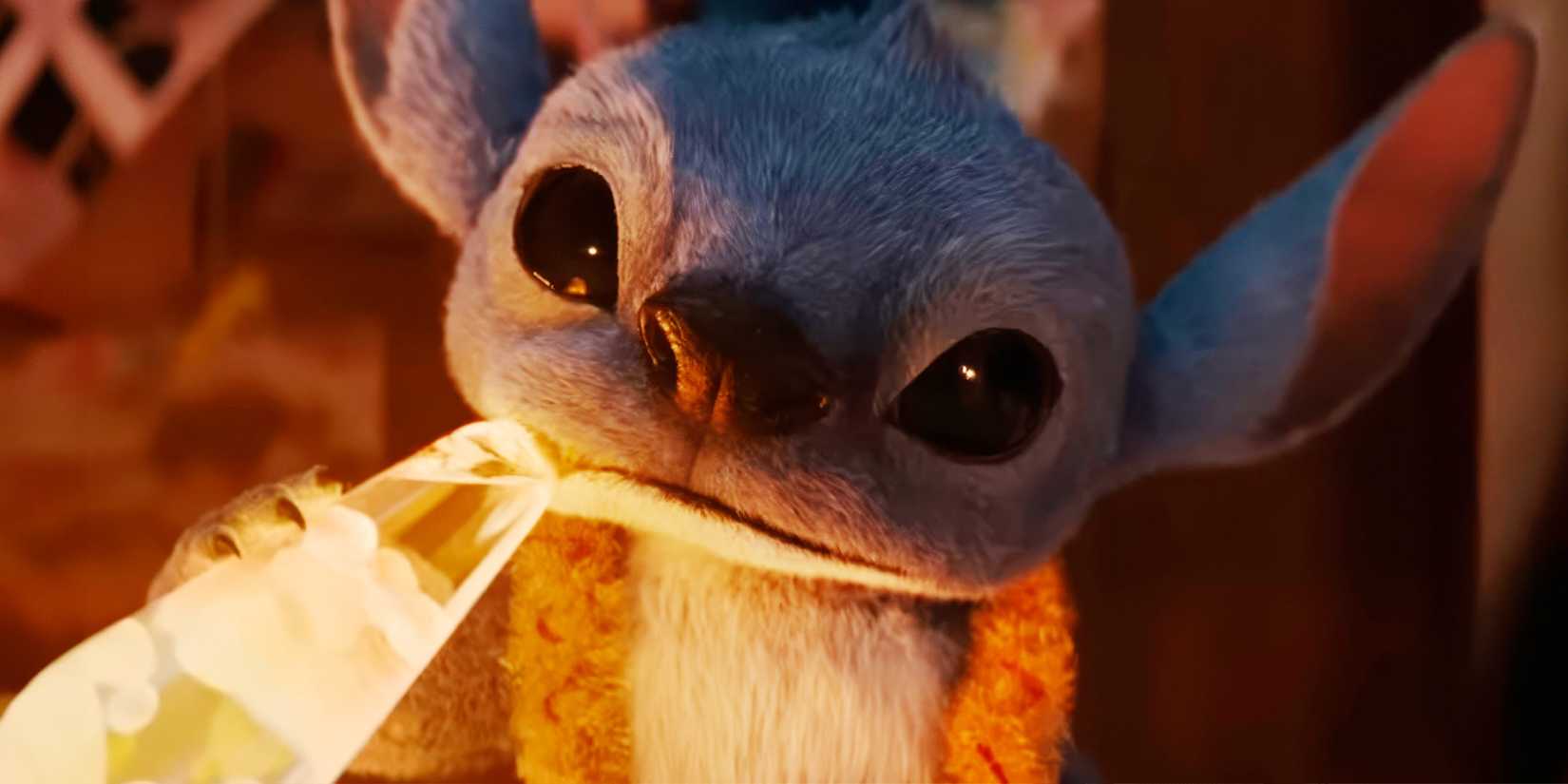 Stitch 2 Lilo & Stitch 2: Live-Action Sequel Confirmation & Everything We Know