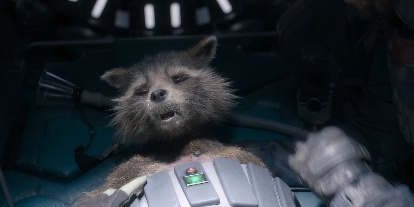 I Just Realized The Other Reason Rocket Doesn’t Like To Be Called An ...