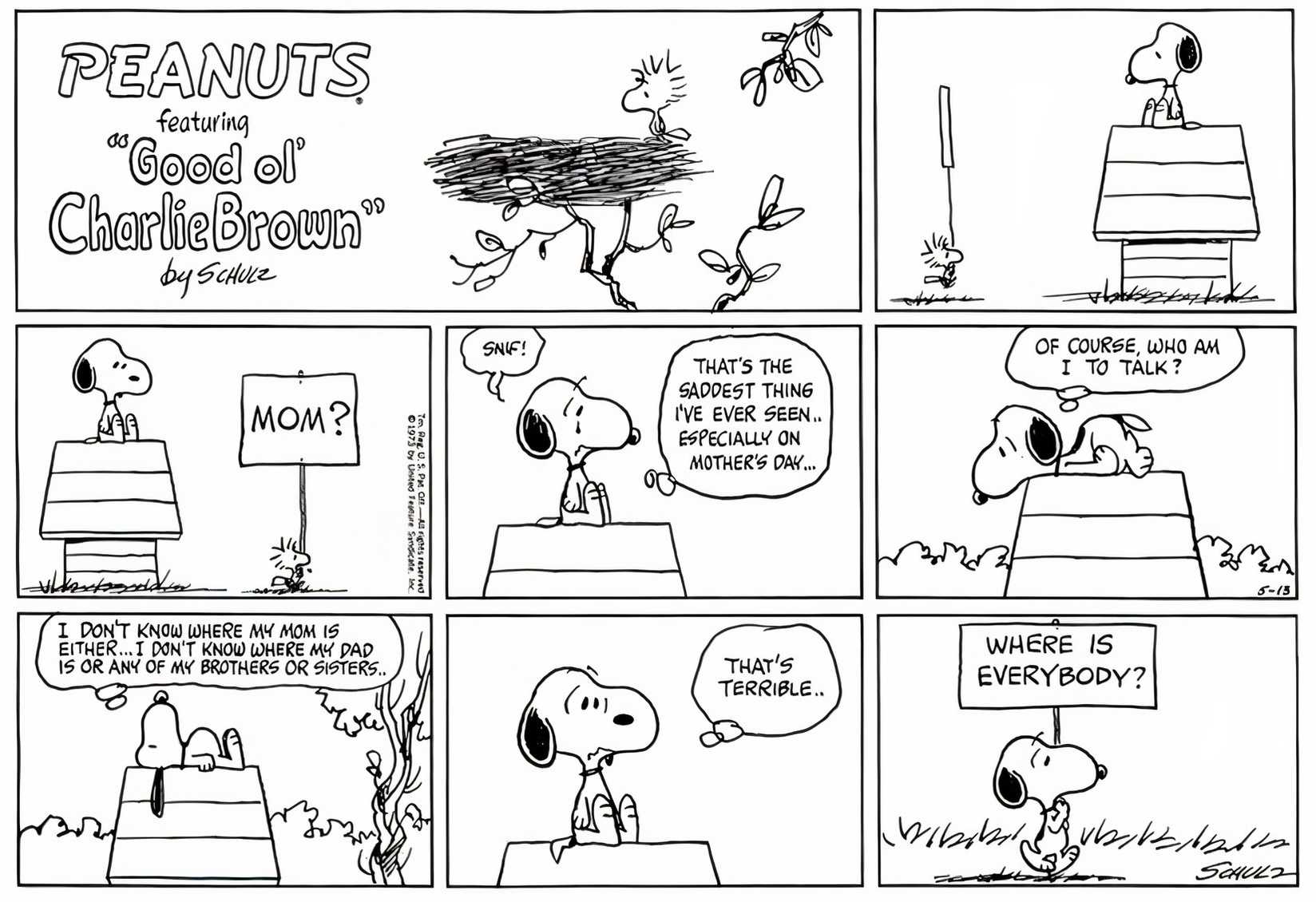 10 Peanuts Comics That Hit Harder As An Adult Than They Ever Did As A Kid