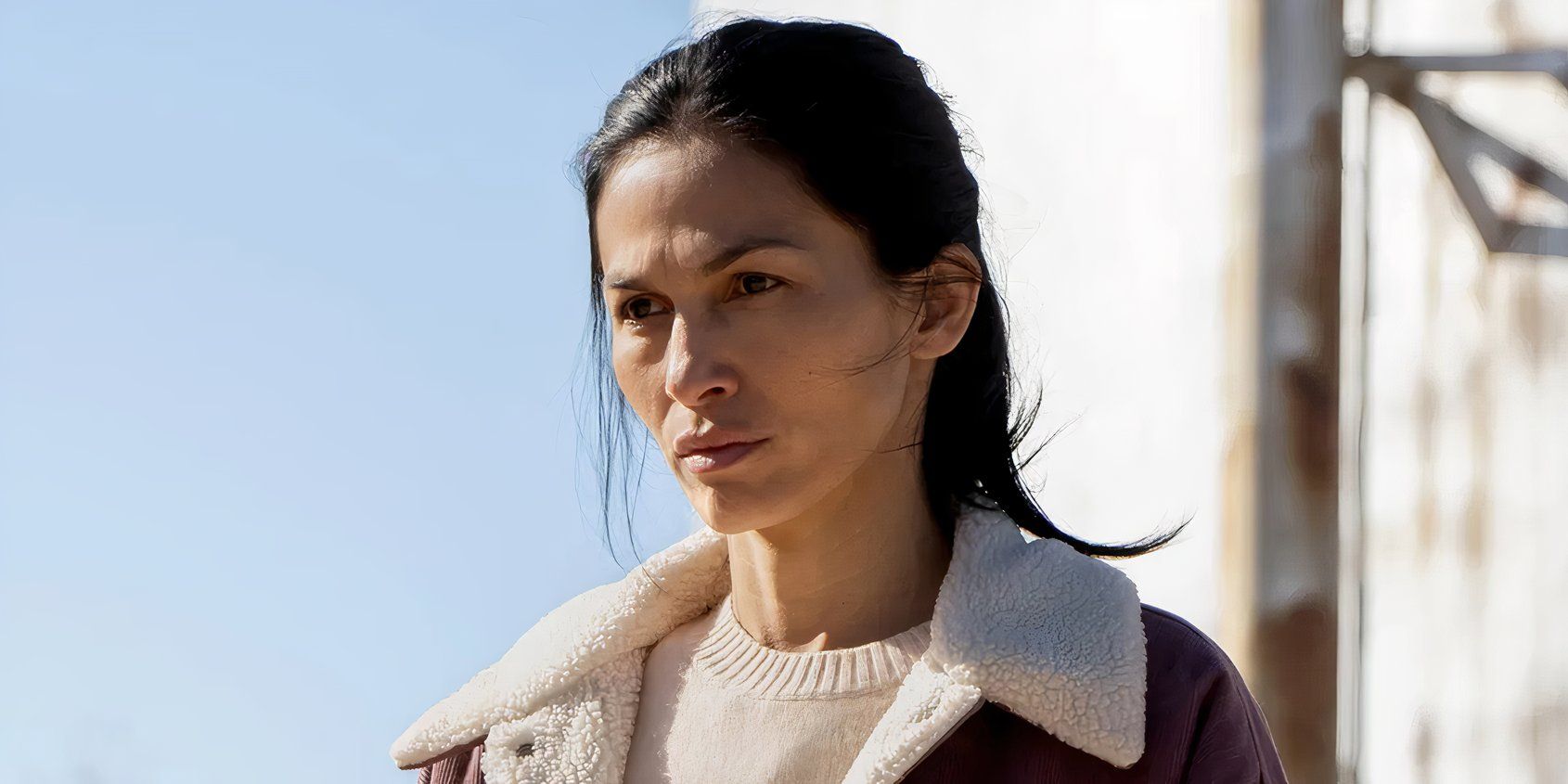 Ranking All Of 2025's Canceled Shows From Least To Most Heartbreaking