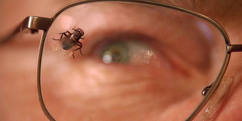 A fly on Walt's (Bryan Cranston) glasses in the Breaking Bad episode "Fly"