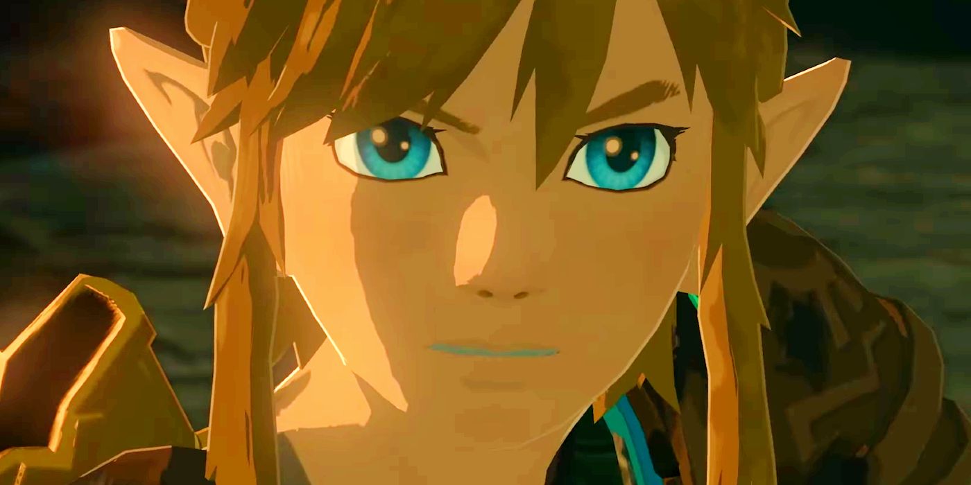 Zelda: TOTK's Official New Paid DLC Isn't What Gamers Expected