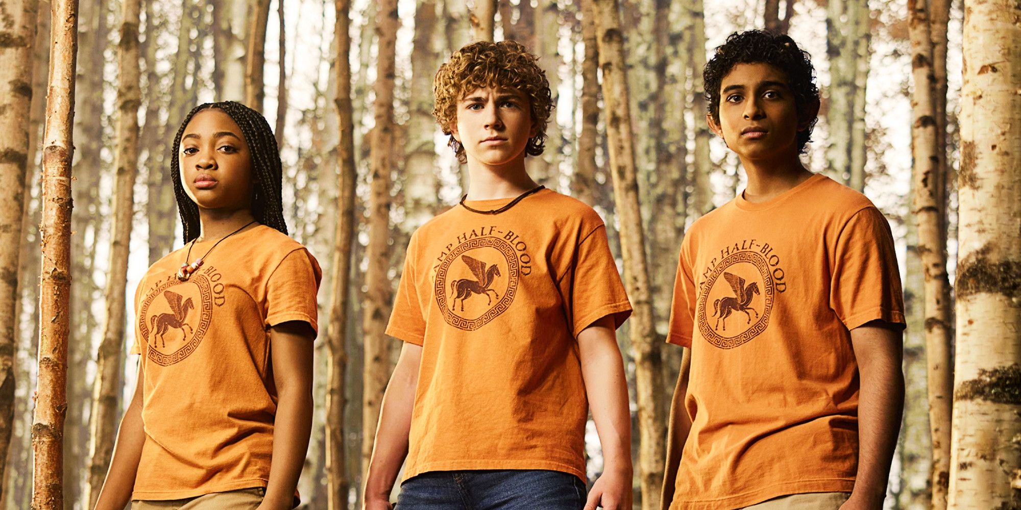 Percy Jackson Season 3 Is Officially Avoiding The Disney+ Show's ...