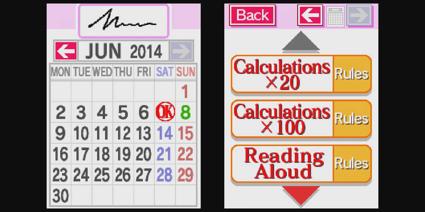 Brain Age Calendar DS