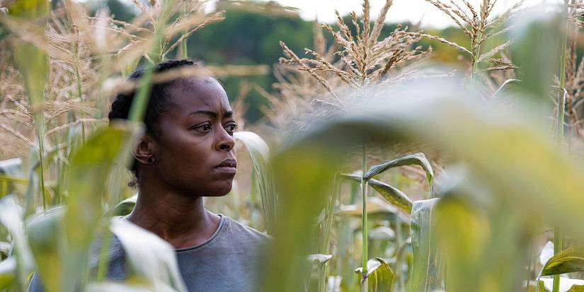 Danielle Deadwyler walks through crops in 40 Acres