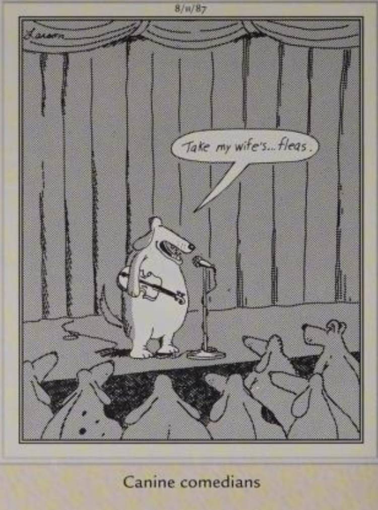 Far Side, August 11, 1987, a 'canine comedian' says 'take my wife's fleas'