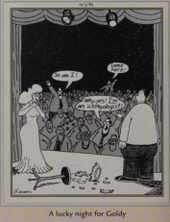 Far Side, December 5, 1985, a goldfish's bowl breaks on stage during a performance