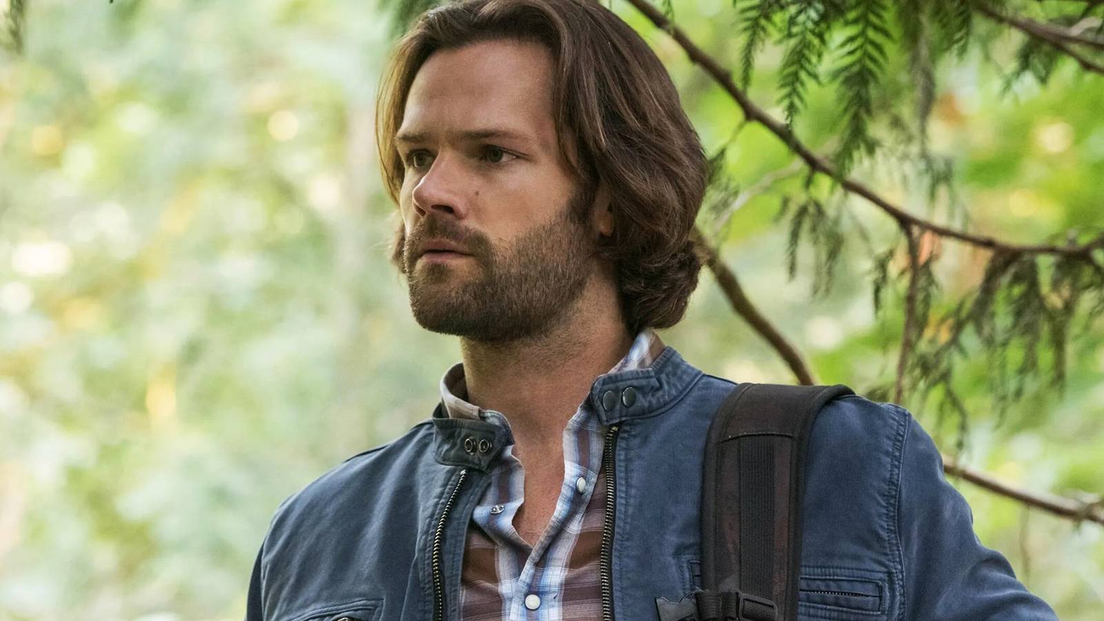 10 Shows That Almost Became the Next Supernatural 10 Shows That Almost Became the Next Supernatural