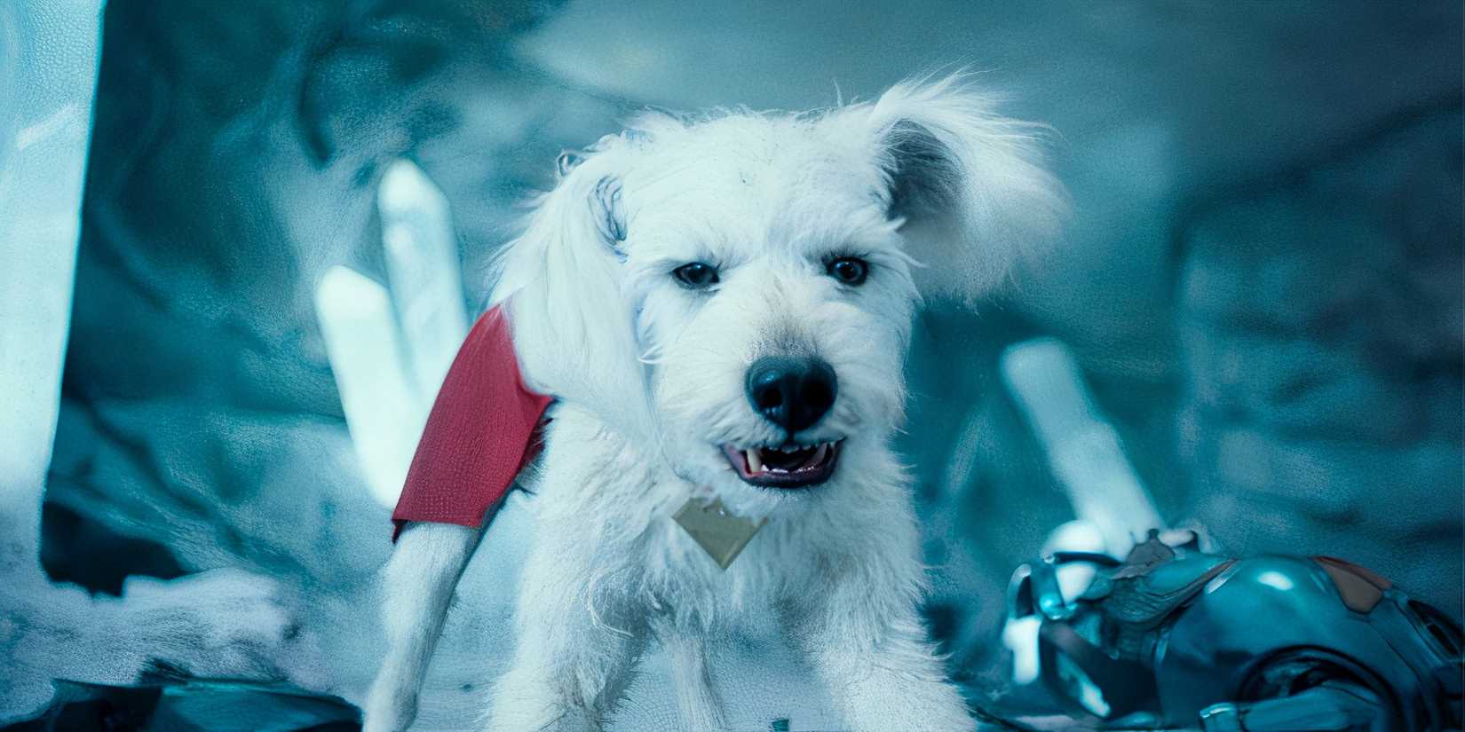 Krypto snarls at the enemy in Superman (2025)