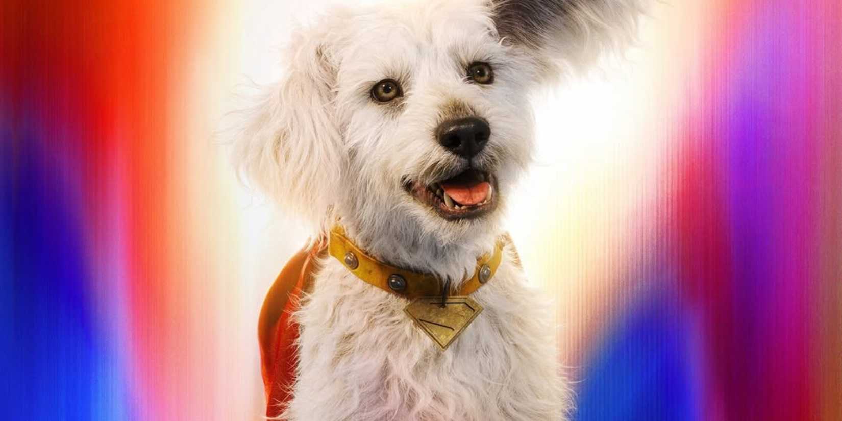 Krypto The Superdog in Superman